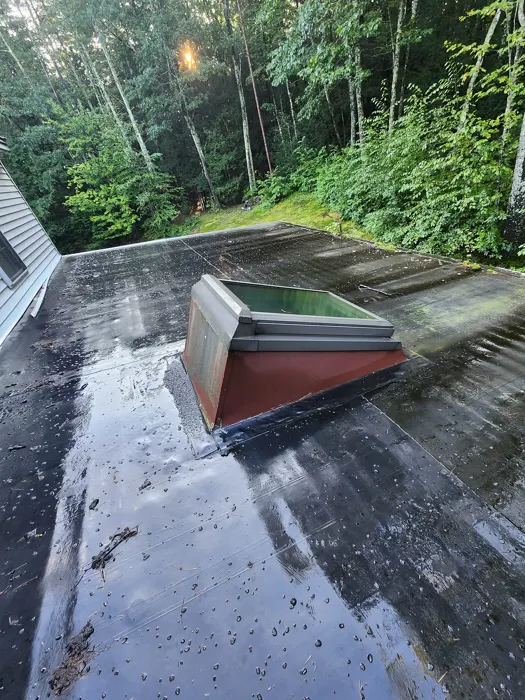 Skylight installed in a roof